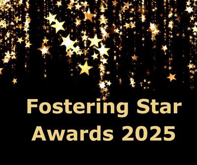 Star Awards Image 25